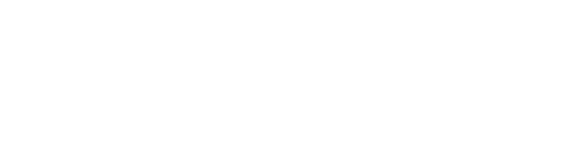 Liga Sul